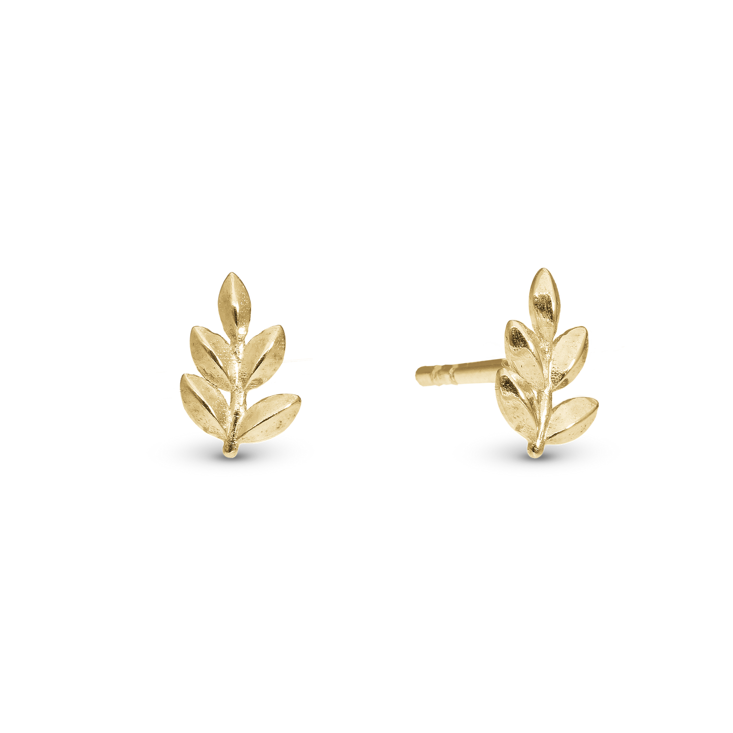Oak Leaf Stud Earrings - Polished Gold Plated Sterling Silver