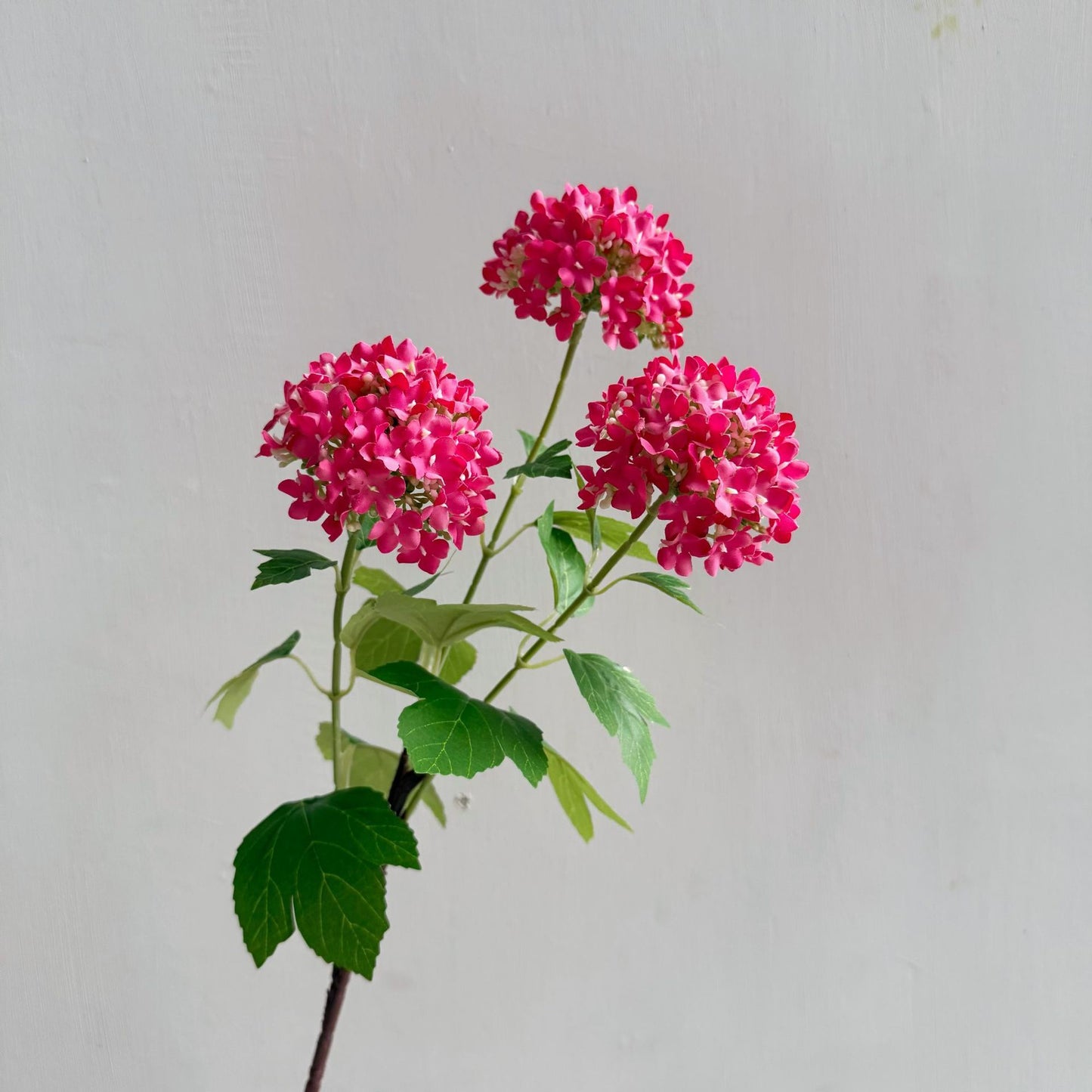 Blumen, Hortensien, Schneebälle, Kleinmöbel