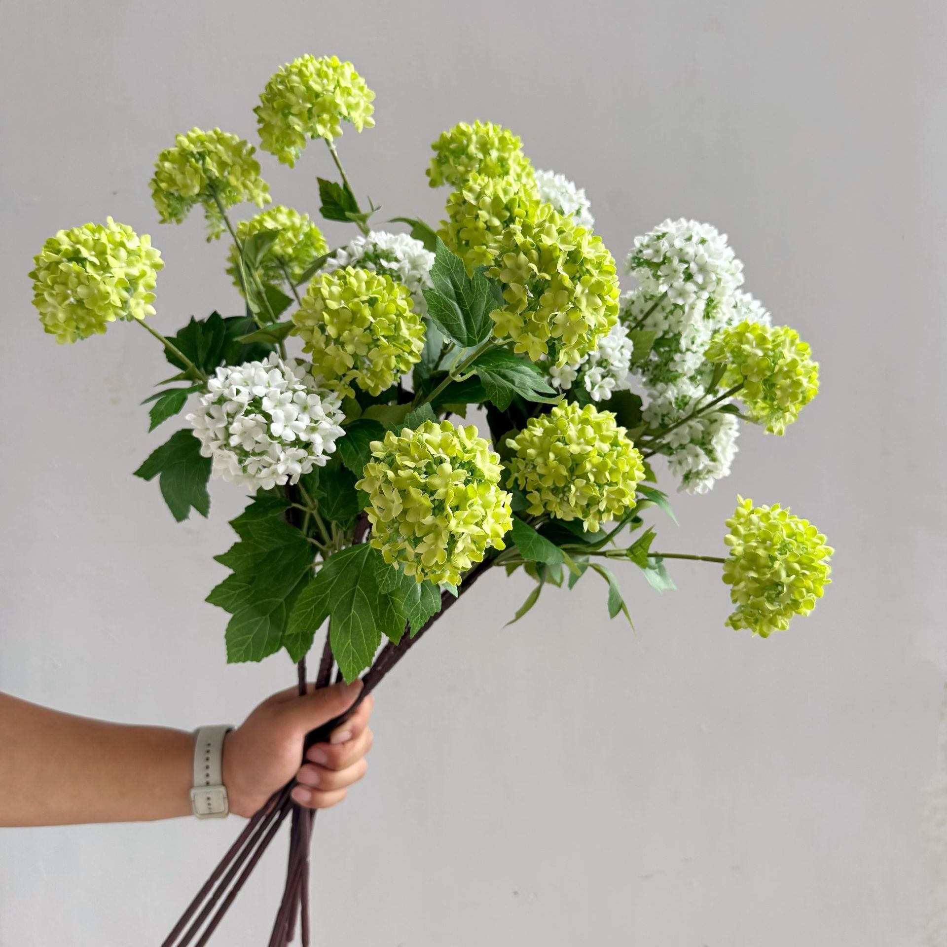 Flowers Hydrangeas SnowballsSmall  Home Furnishings