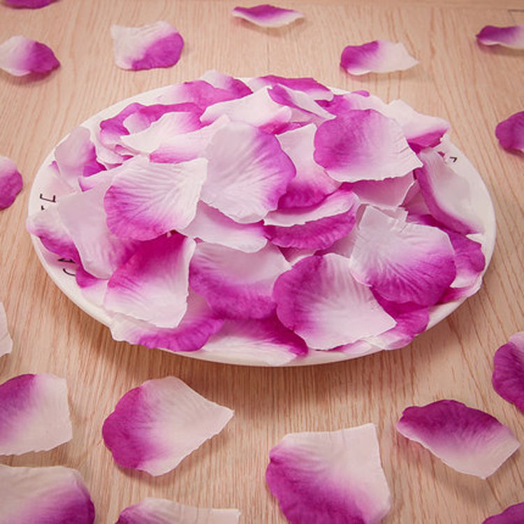 Simulation Rose Petals Marriage Proposal