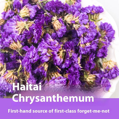 Getrocknete Myosotis sylvatica-Blüten in großen Mengen