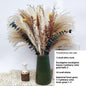 PAMPAS Bohemian Decorative Reed Rabbit Tail Grass Mix And Match Dried Flowers Bouquet