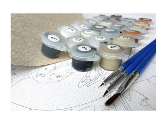 Beautiful Flowers-DIY Digital Painting Kit-Decoration