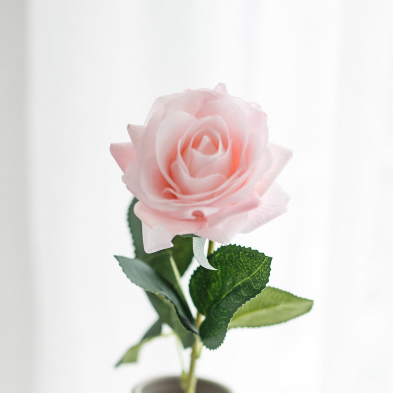 Single Hand Moisturizing Rose Holding Artificial Flowers