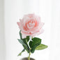 Single Hand Moisturizing Rose Holding Artificial Flowers