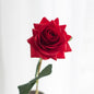 Single Hand Moisturizing Rose Holding Artificial Flowers