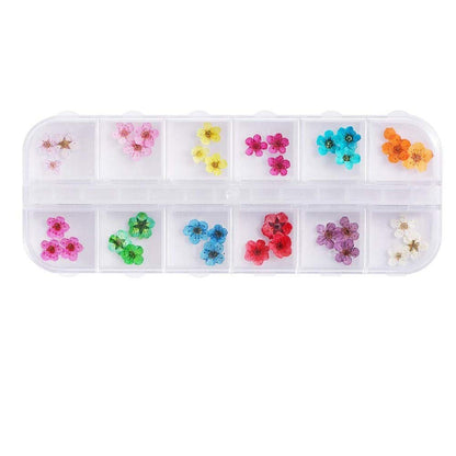 Nail Art Dry Flower 12 Grid Boxed Colorful Daisy Gypsophila Real Flower Nail Jewelry