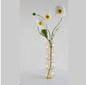 Transparente Glaskürbisvase, kleine Vase, Blumenarrangement, Trockenblumen, Hydrokultur