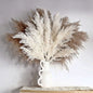 PAMPAS Bohemian Decorative Reed Rabbit Tail Grass Mix And Match Dried Flowers Bouquet