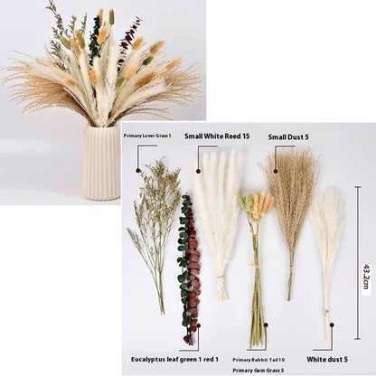 PAMPAS Bohemian Decorative Reed Rabbit Tail Grass Mix And Match Dried Flowers Bouquet