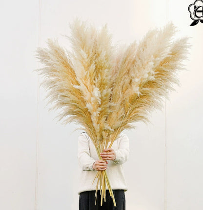 Bouquet Of Small Dried Reed Flowers