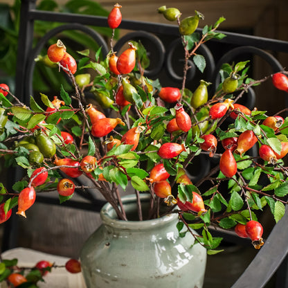 Künstliche Granatapfelfrüchte für Wohnzimmer-TV-Schrank