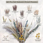 PAMPAS Bohemian Decorative Reed Rabbit Tail Grass Mix And Match Dried Flowers Bouquet