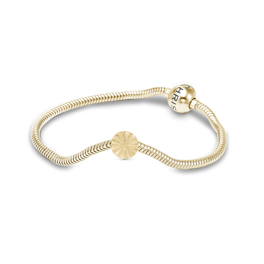 Cherish 2025 charms Bracelet