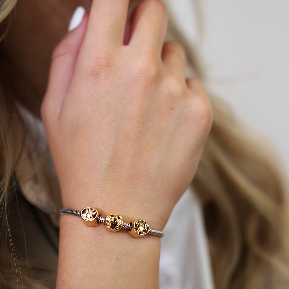 Krebs Charms with sølvBracelet - CHRISTINA
