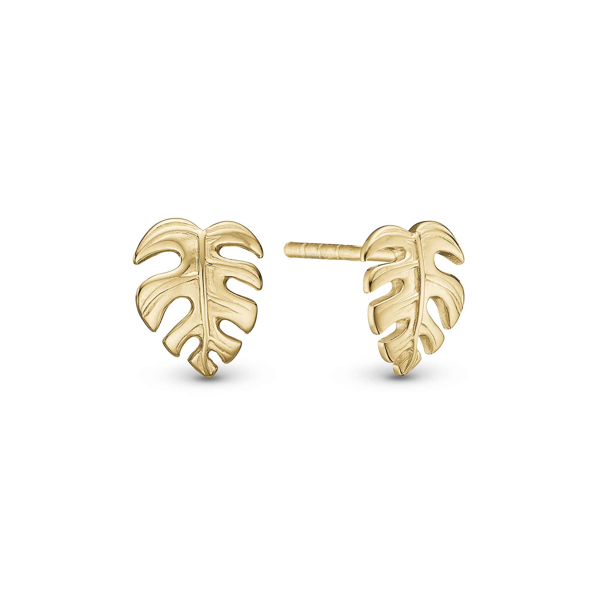 Rainforest Stud Earrings - Polished Gold Plated Sterling Silver