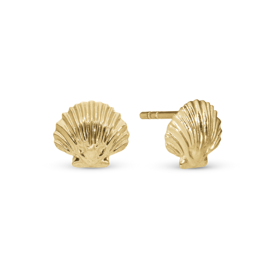 Clam Shell Stud Earrings - Polished Gold Plated Sterling Silver