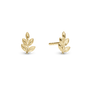 Oak Leaf Stud Earrings - Polished Gold Plated Sterling Silver