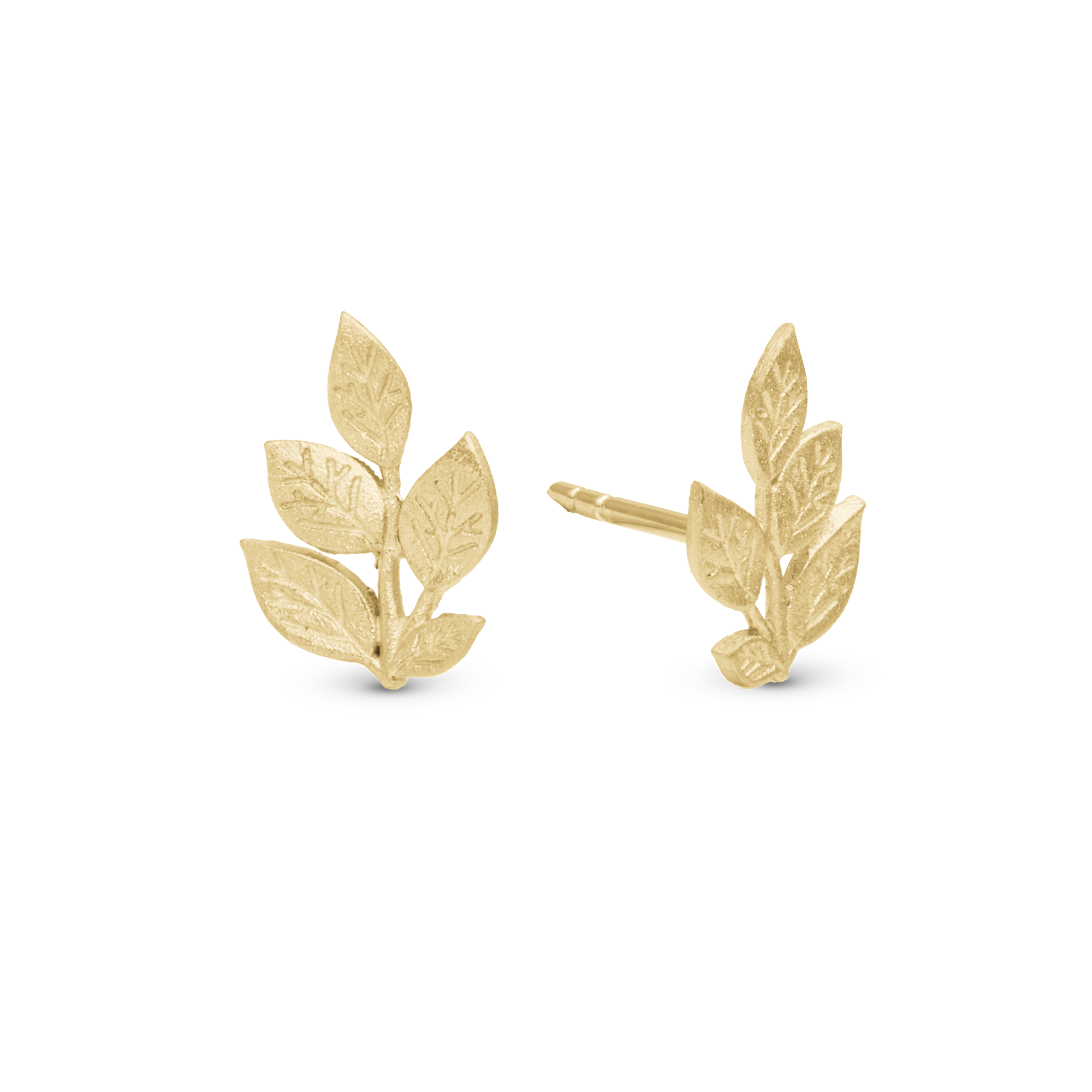 Leaf Beauty Stud Earrings - Polished Gold Plated Sterling Silver