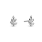 Oak Leaf Stud Earrings - Polished Sterling Silver