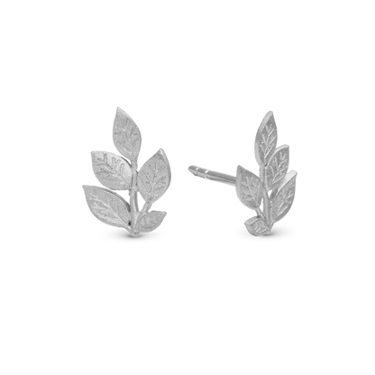Leaf Beauty Stud Earrings - Polished Sterling Silver