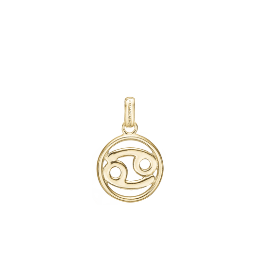 Cancer Earring Pendant - CHRISTINA