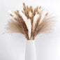 PAMPAS Bohemian Decorative Reed Rabbit Tail Grass Mix And Match Dried Flowers Bouquet