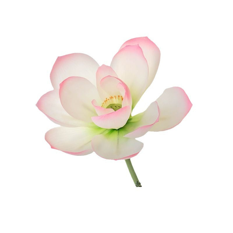 Nachbildung von Lotusblumen (Lotus-Schoten)