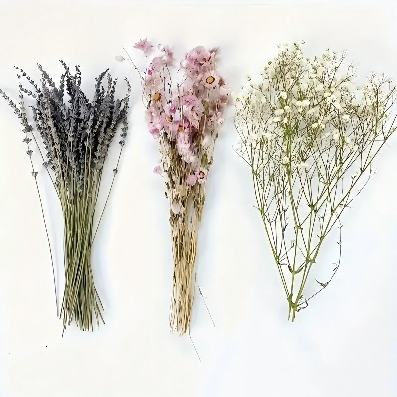 Lavendel-Trockenblumenstrauß, Dekoration für den Haushalt