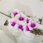 7 phalaenopsis artificial flowers