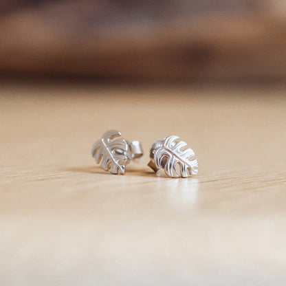 Rainforest Stud Earrings - Polished Sterling Silver