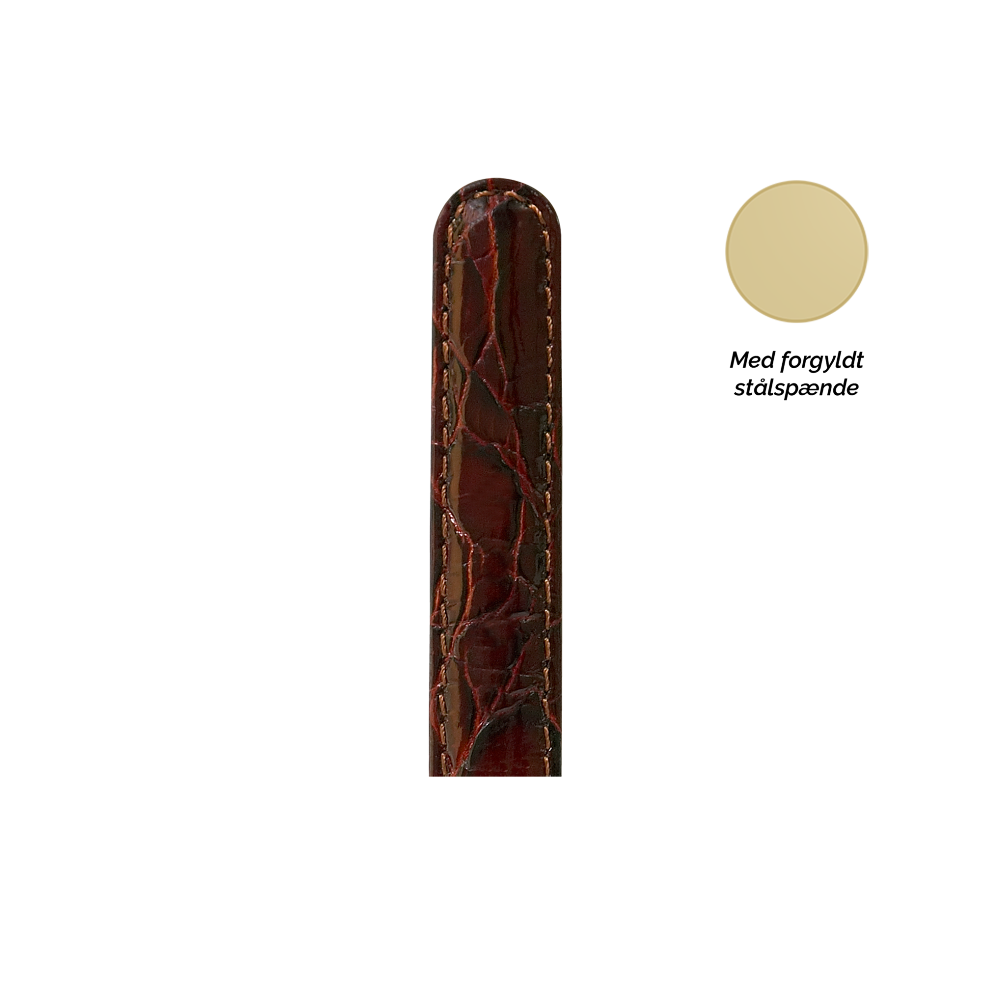 Collect  Leather Strap Watchremme - CHRISTINA