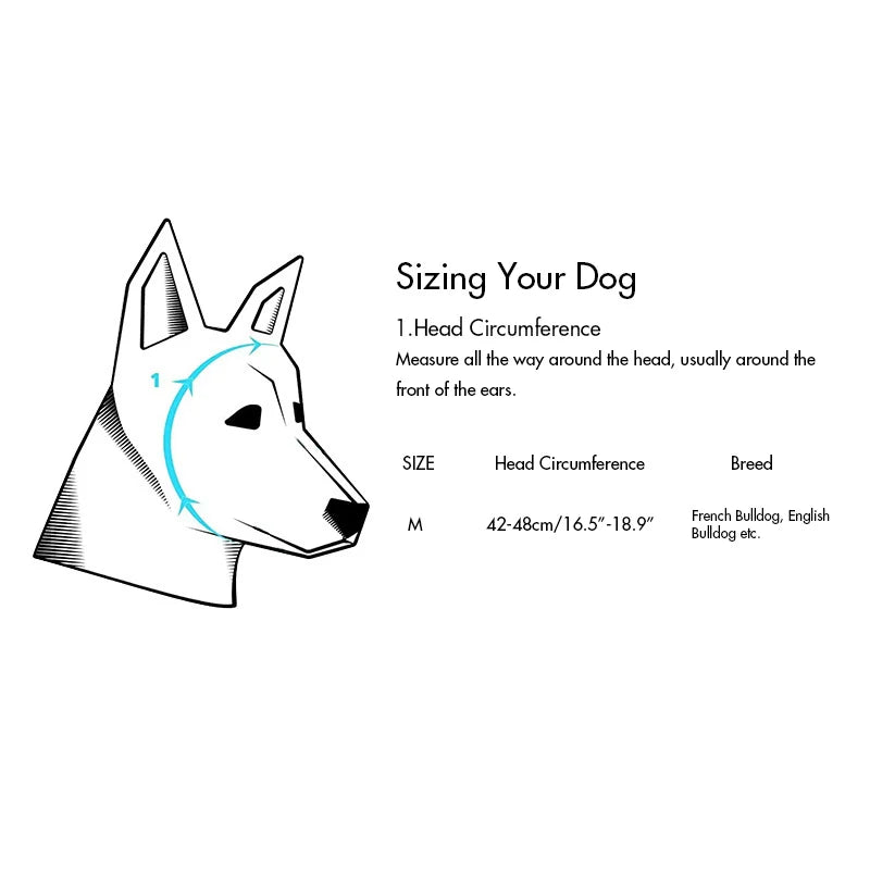 Hundemütze für Französische Bulldoggen und Englische Bulldoggen, Plüschmütze, Wintermütze, warme, niedliche Bärenmütze, Cartoon-Mütze für Welpen und Haustiere