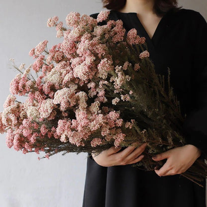 Living Room Table Decoration Dried Flowers
