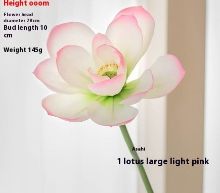 Nachbildung von Lotusblumen (Lotus-Schoten)