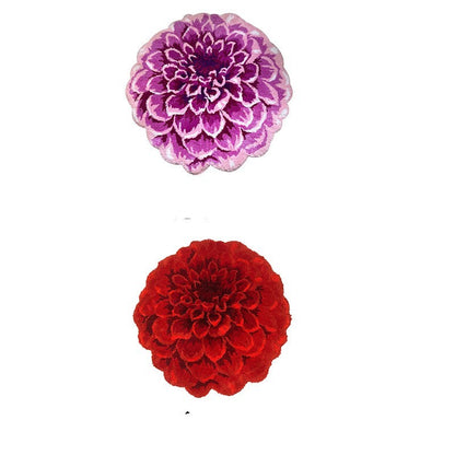 Runde Brassica oleracea-Blüten, Flor-Bodenbelag