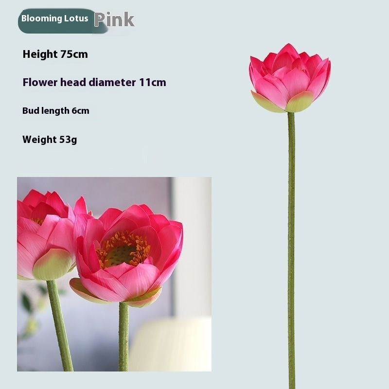 Nachbildung von Lotusblumen (Lotus-Schoten)