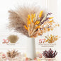 PAMPAS Bohemian Decorative Reed Rabbit Tail Grass Mix And Match Dried Flowers Bouquet