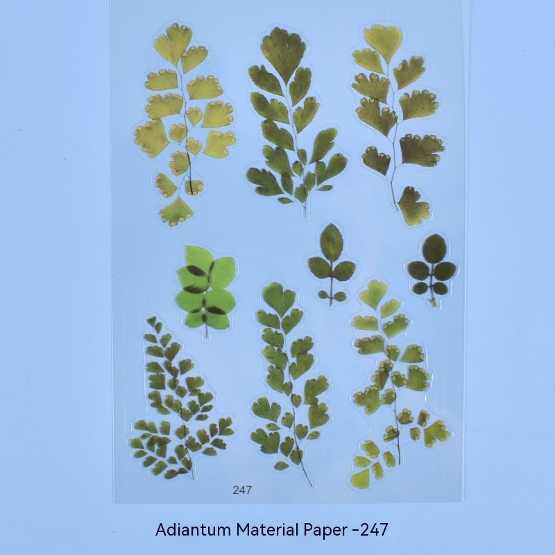 Mehr als nur Kristallkleber-Blumen-Materialaufkleber