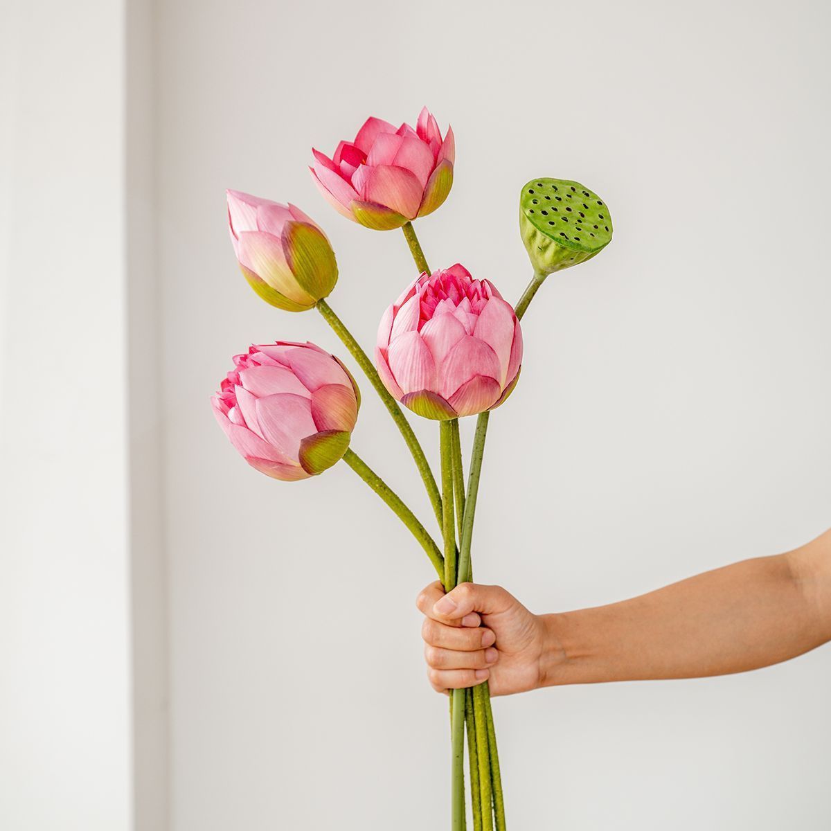 Nachbildung von Lotusblumen (Lotus-Schoten)